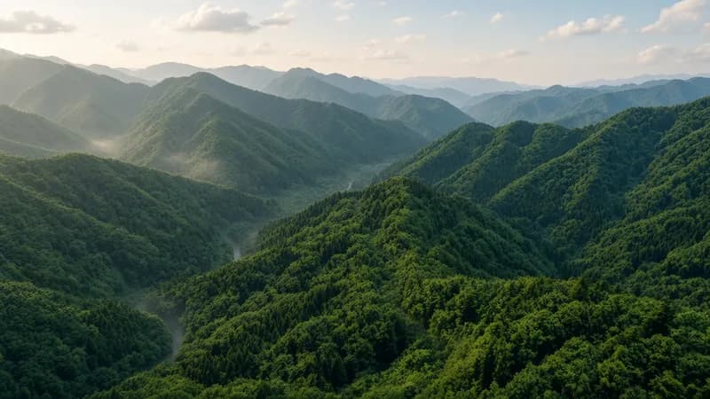 三重県志摩市の山林を有償引き取り