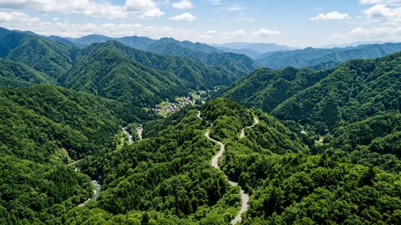 愛知県岡崎市の山林を有償引き取り
