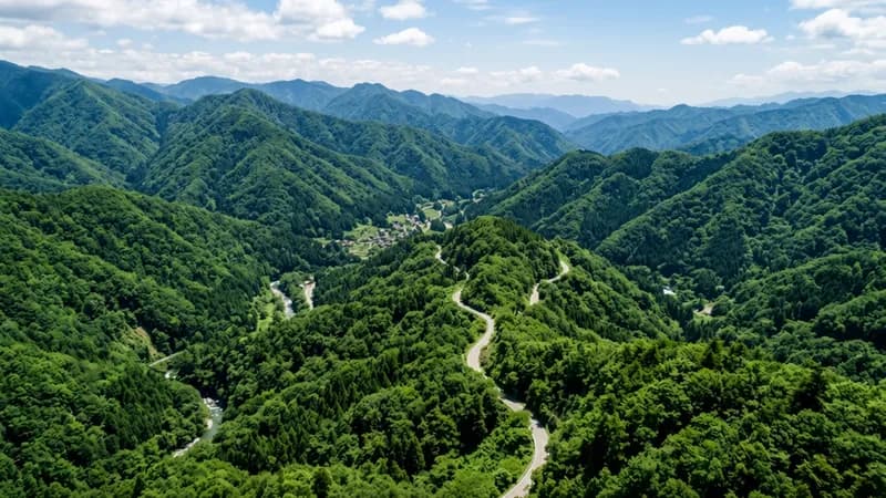 三重県度会郡度会町の山林。約19.8haの山林購入契約を締結