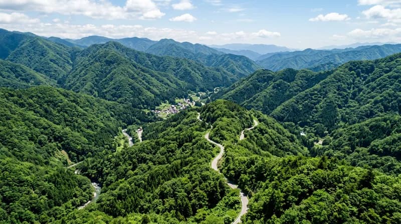 岐阜県八百津町南戸地区の山林購入 - 17.6haの山林購入サポート