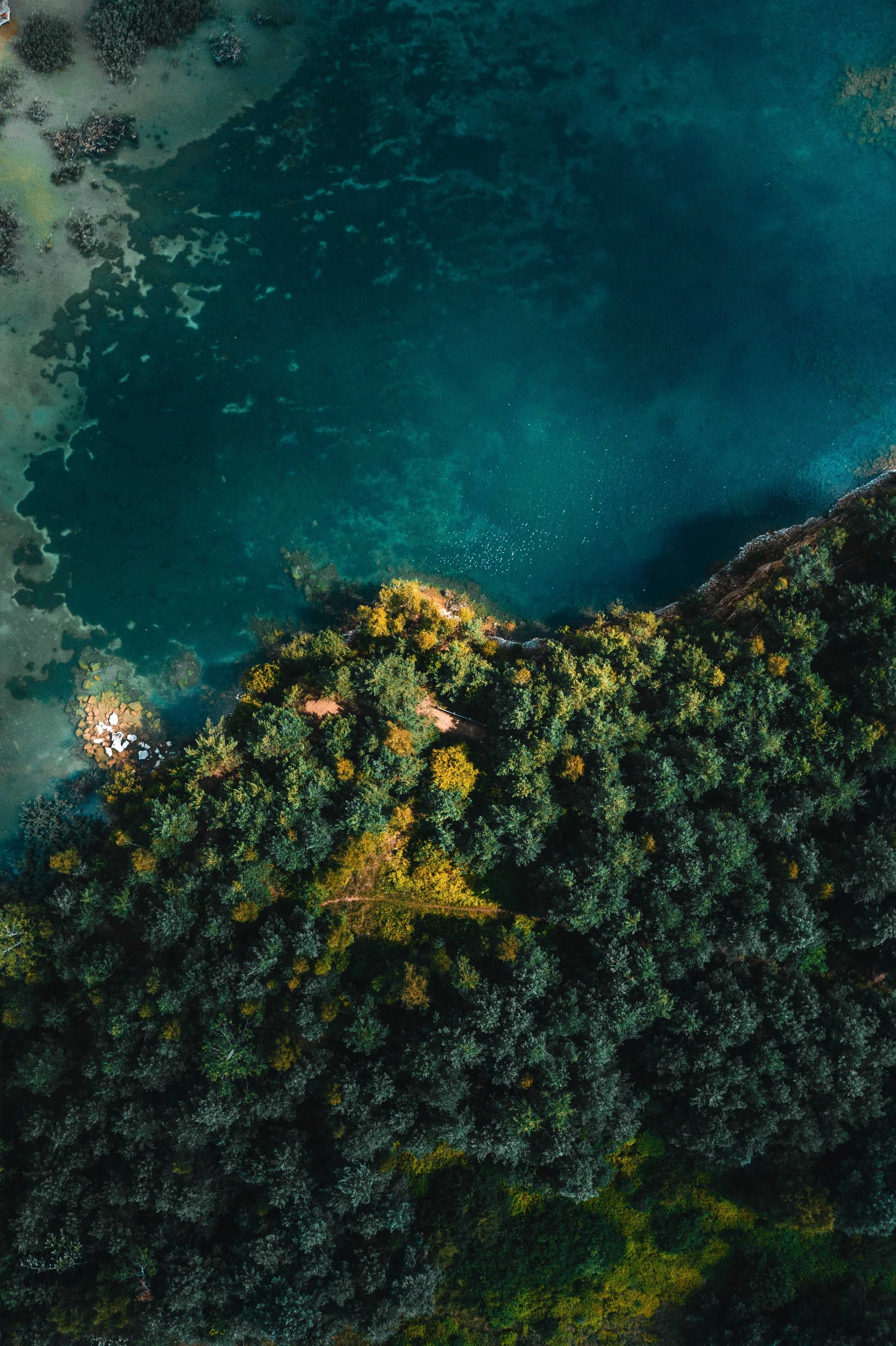 岐阜県加茂郡八百津町南戸の山林購入 - 22haの山林購入サポート