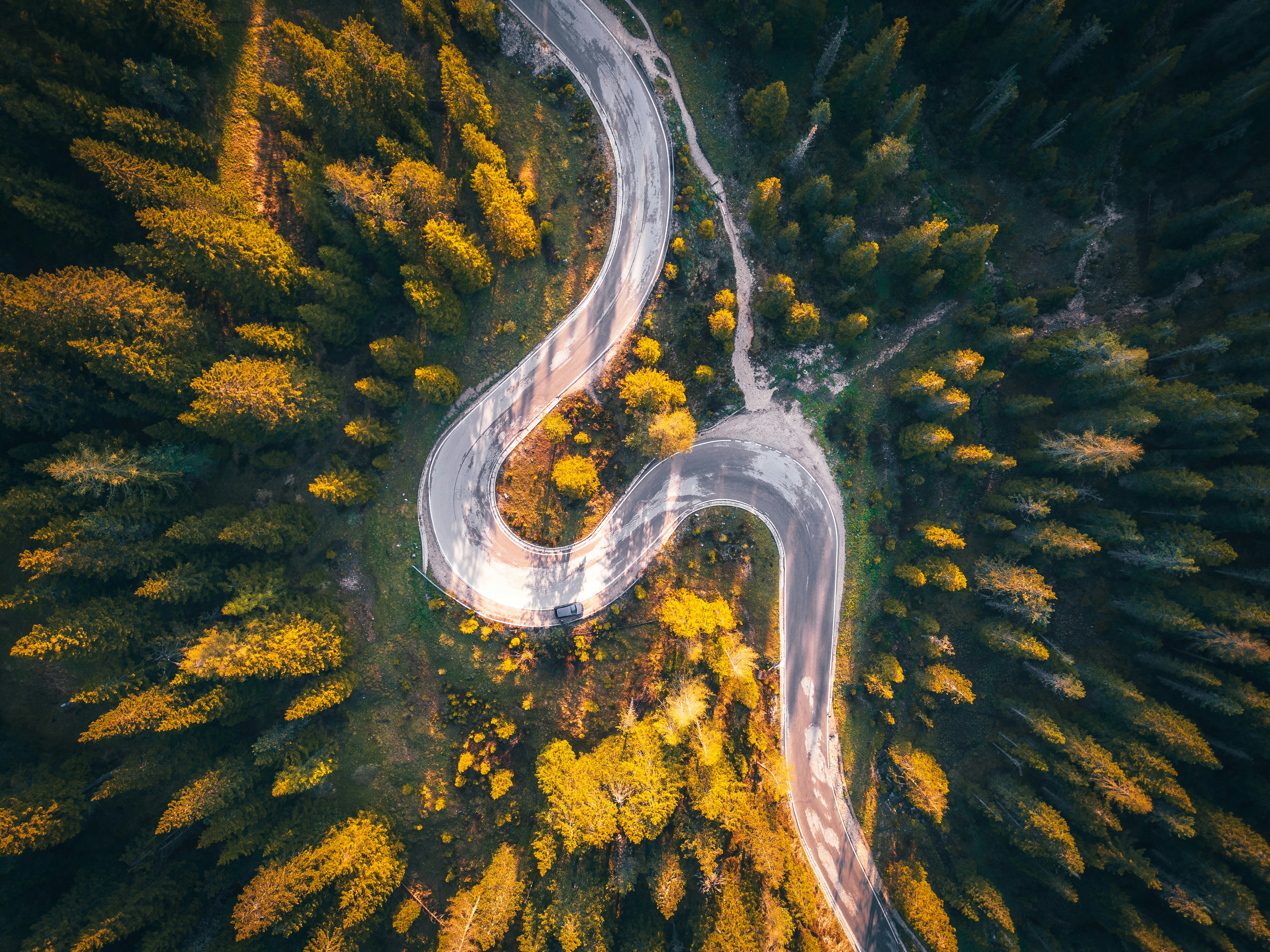 観光施設としての活用事例 - 鳥取県12haの山林観光振興